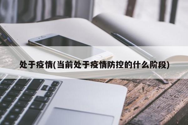 处于疫情(当前处于疫情防控的什么阶段)